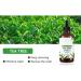 Buy Essential Tea Tree Oil - Deep Clean Moisturizing & Aromatherapy for Flawless Skin | International Shipping - Buy Online on GoSupps.com