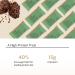 Promix Protein Puff Bars 12-Pack - Mint Chocolate - Marshmallow Crispy Treat | High Protein, Low Calorie, Non-GMO Snack - Buy Online on GoSupps.com
