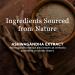New Nordic Ashwagandha Gummies - Dietary Supplement for Stress Relief & Energy Support - Sugar-Free Non-GMO Gluten-Free & Dairy-Free - 60 Vegan Gummies 1 - Buy Online on GoSupps.com