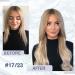 Buy Hetto Microring Hair Extensions | Real Hair Balayage Blonde Highlights #17/23 | 30cm Remy Quality - Buy Online on GoSupps.com