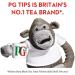  PG tips PG Tips Original biodegradable tea 160 sachets - Buy Online on GoSupps.com