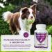 Comprehensive Liver Support Supplement for Large Dogs. Flavorful Chewable Tablets Combining Same SPC Silybin A+B + Glutathione 30Ct (Large) Large (1 Pack) - Buy Online on GoSupps.com