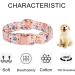 Pink Bow Tie Dog Collar | Adjustable for Girl Dogs | Metal Quick Release Buckle | Orange | Size L (38-60CM) - Buy Online on GoSupps.com