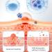 Spray de Soulagement de la Douleur Dentaire Spray Contre les Maux de Dents Sprays R paration des Gencives Sprays de Soulagement des Maux de Dents Spray De Soins Bucco-Dentaires 35ML - Buy Online on GoSupps.com