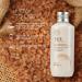 The Face Shop Rice & Ceramide Moisturizing Facetoner Enriched With Rice Extracts To Brighten The Skin Suits All Skin Types 150 ml - Buy Online on GoSupps.com