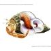Avalon Cosmetic Packaging Assorted Spiral Seashells 12 Pcs Mixed Medium/Large Size Shells - Perfect for Hermit Crabs - with round opening: 0.5''-1.0'' width. - Buy Online on GoSupps.com