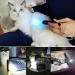 HUHKOUAE Wood's lamp cat Ringworm Detector Pet Urine Detector With side lights UV Black light for Analyzing Skin Dog Cat Care Bed Bug Inspection - Buy Online on GoSupps.com