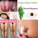 Effective Old Remedies: Detox Slimming Belly Pellets Natural Wormwood Essence Pills & Moxa Hot Moxibustion Stickers - 90PCs for Pain Relief - Buy Online on GoSupps.com