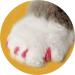 Buy SOFTCLAWS Claw Protectors for Cats - Medium Pink | International Shipping Available - Buy Online on GoSupps.com