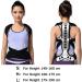Spinal Protector Back Brace for Adults - Lumbar & Shoulder Posture Corrector | Pain Relief for Men & Women | Small Size - Buy Online on GoSupps.com