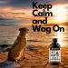 Pet Hemp Oil 225 000 Mg (8 oz) Extra Strength Formula - Peanut Butter Flavoured - Derived Hemp Seed Oil - Hip Joint Support and Skin Coat Health Non-GMO Omega 3 6 9 Balance Oil Made in Canada - Buy Online on GoSupps.com