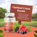 Sugar-Free High Fiber Gummies for Adults with Prebiotic Chicory Root - Immunity and Digestive Support - Non-GMO Halal Vegan Kosher Gluten-Free - Buy Online on GoSupps.com