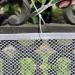 Cat Balcony Safety Net - Pet Anti-Fall Mesh Fence for Child Safety & Protection - Buy Online on GoSupps.com