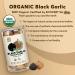 SUNGIVEN Organic Black Garlic Single Clove - 100% USDA Organic, High Antioxidants, Ready to Eat - 8.81 oz (250 g) - Buy Online on GoSupps.com