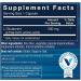 BodyTech Glutamine - Anti-Catabolic Recovery & Immune Support (100 Capsules) | International Shipping Available - Buy Online on GoSupps.com