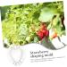 FUNOMOCYA 4pcs Strawberry Mold Small Fragrant Pear Modeling Melon - Buy Online on GoSupps.com