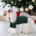 Iecoii Dog Sweater - Warm Turtleneck Winter Sweater for Small to Large Dogs & Cats | Perfect for Chihuahuas French Bulldogs & Labradors - X-Small Green - Buy Online on GoSupps.com