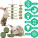Erkoon Rabbit Chew Toys - 11-Piece Natural Apple Wood & Timothy Hay Set for Bunnies Chinchillas & Guinea Pigs - Dental Care & Fun! - Buy Online on GoSupps.com