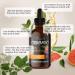 Organic Oregano Oil Drops - High Carvacrol (66%) Liquid Supplement with Thyme & Green Tea - 2 Oz Bottle for Max Absorption - Buy Online on GoSupps.com