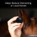 Buy Horse Smooth Ear Plugs - 2 Packs (4 Pairs) - Reduce Noise for Training & Riding - Fits 14 HH & Over - Fun Magnet Included - Buy Online on GoSupps.com