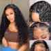 Water Wave Lace Front Human Hair Wigs HD Curly Lace Closure Wig Wet and Wavy Lace Frontal Wigs Human Hair Brazilian 4x4 Water Wave Wigs for Black Women with Natural Baby Hair 180% Density 18 Inch 18 Inch Black