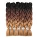 RAYIIS 6 Packs Braiding Hair Kanekalon Synthetic Braiding Hair Extensions 24 inches (6 Packs Ombre black-dark brown-light brown) 6 Packs Ombre black-dark brown-light brown