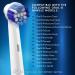 12 Pack Replacement Toothbrush Heads Compatible with Oral-B Braun - Best Oral-B Compatible Electric Toothbrush Heads for Floss Cross Precision 3D 1000, Kids Sonic, Clean Action & More - Buy Online on GoSupps.com