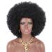 Kalyss 16 Women's Short Afro Kinky Curly Hair black Wigs for Black Women Large Bouncy and Soft Natural Looking Premium Synthetic Hair Wigs for Women 150% Density