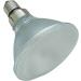 Shop Lucky Reptile 70W Bright Sun Flood Desert Lamp - E27 UV Heat Light for Terrariums & Reptiles - Daylight Spectrum with UVA & UVB - Buy Online on GoSupps.com