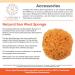 Spa Destinations Natural Sea Wool Sponge 5-6 - Buy Online on GoSupps.com