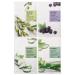 MIZON Joyful Time Essence Mask Sheet Combo Pack | 16 Facial Masks for Radiant Skin - International Shipping Available - Buy Online on GoSupps.com