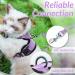 Rabbitgoo Cat Dishes & Harness Sets | Premium Cat Accessories for Happy Pets - Buy Online on GoSupps.com