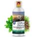 Nordholz sauna infusion choose from 48 varieties 100ml - sauna infusion agent #19 forest magic symphony Special & natural sauna fragrance for intensive & relaxing moments - perfect sauna accessories