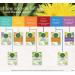 Organic Gas Relief Tea | Traditional Medicinals | Caffeine-Free | 16 Wrapped Bags - Buy Online on GoSupps.com