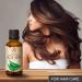 Aloe Vera Oil 1.7 Fl Oz - 100% Pure & Natural from Brasil for Skin, Body, Hair Growth - Face Moisturizer - Baby Oil - Massage & Bath - 1.69 Fl Oz (Pack of 1) - Buy Online on GoSupps.com