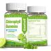 EAZGOO Chlorophyll Gummies for Body Odor Deodorant* 2 Pack Sugar Free Chewable Chlorophyll for Immune Support Women Vegan 120 Count (Lemon)