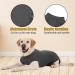 Axcimond Dog Recovery Suit Dog Onesie After Surgery Female Male Small Medium Large Dogs Surgical Recovery Suit Doggie Onesie Prevent Licking Spay Suit Chien Post Operation Dog Cone Collar Alternative M Grey - Buy Online on GoSupps.com