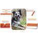 Twinkys Dog Style Tow Leash - 15mm Wide 40m Length Rubberized For Dogs Up to 50kg - Made in Germany - Durable Orange Dog Leash - Buy Online on GoSupps.com