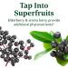 MegaFood Elderberry Zinc Immune Support Syrup - 4 fl oz Vegan Formula for Adults & Kids - Non-GMO, Aronia Berry Infused - 16 Servings - Buy Online on GoSupps.com
