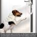 Clamping Door Protection - White Cotton Finger Guard for Babies Kids & Pets | 60 cm Sound Eliminator - Buy Online on GoSupps.com