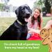 Buddy Biscuits Grain Free Dog Treats | Made in USA | Healthy Ingredients | No Wheat, Corn or Soy | Roasted Chicken Softies | 5 oz - Buy Online on GoSupps.com
