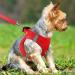 Joyal Dog Harness for Small Dogs - Reflective Soft Padded Air-Mesh Breast Dishes - S Size (Red 38-42cm) - Perfect for Puppy Comfort & Safety - Buy Online on GoSupps.com