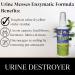 UrineFree - PetFresh - Odor & Stain Remover from any surface Suitable for Carpets Upholstery and Hardwood Floors - for Children Dogs and Cats - Household Uses (4 oz / 118 ml - Pack of 2) - Buy Online on GoSupps.com