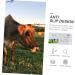 Fomiyes 1stk Pregnancy Test Strips for Sheep & Cattle - Accurate Animal Pregnancy Testing (1 Pack) - Buy Online on GoSupps.com