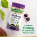 Nature's Bounty Elderberry Gummies Immune Support Contains Vitamin A C D E and Zinc 40 Gummies (Pack of 3) - Buy Online on GoSupps.com
