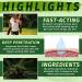 Hempvana Original Pain Relief Cream Maximum Strength 4 Oz Jar - Fast Acting Relief - Buy Online on GoSupps.com