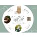 Liquidless Laundry Detergent Sheets - Eco-friendly Bamboo Fresh Scent | 60 Sheets 100% Plastic-free Biodegradable & Hypoallergenic - Buy Online on GoSupps.com