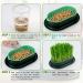 Hejo 2 PCS Cat Grass Seed Tray Plant Bowls for Cat Grass Catnip Cat Grass Box with 1 Plastic Scissors Plastic Soil Free Cat Plant Planting Box for Planting Cat Grass - Buy Online on GoSupps.com
