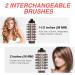 Beautimeter 3-in-1 Hair Dryer Brush Kit for Styling and Frizz Control | Negative Ionic Volumizer with Auto-Rotating Curling Brush | Black & Gold - Buy Online on GoSupps.com