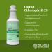 Nature's Sunshine Chlorophyll Liquid Extra Strength 16 fl. oz - Kosher Fresh Mint Chlorophyllin for Detox & Digestive Support - Buy Online on GoSupps.com